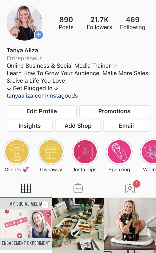 The PERFECT Instagram Bio (3 Steps To More Followers) - Tanya Aliza ...